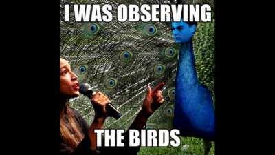 Ben shipost, hope y'all like