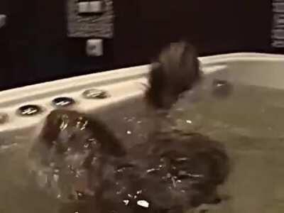 Just a little farther...