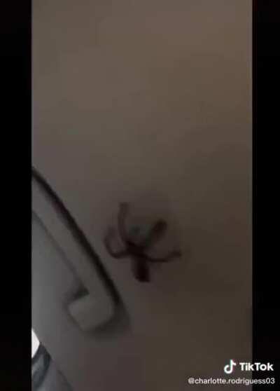 That escalated quickly