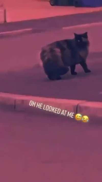 Wot did u say womon ?