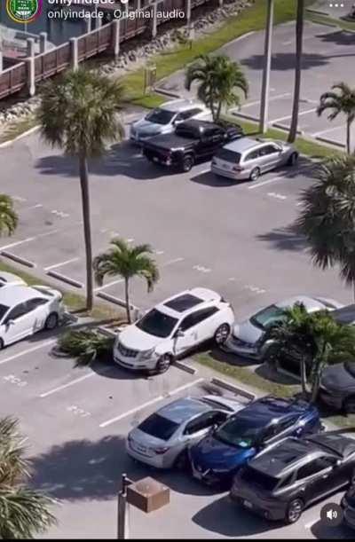 Miami, FL parking lot chaos