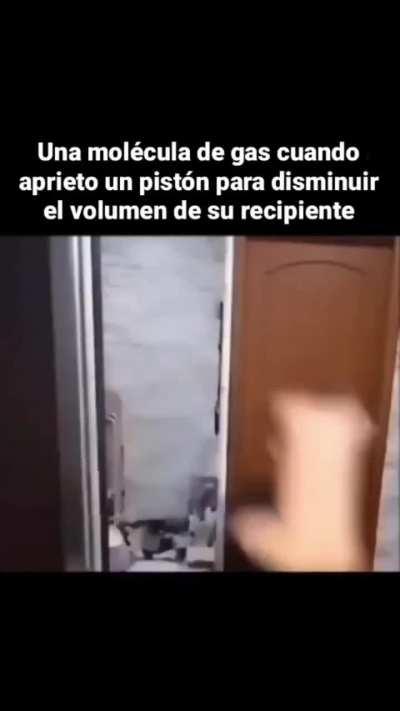 MomazosBeelce1 - Video #7730