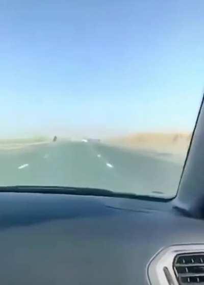 Tesla hitting a camel in the middle of the street, in Dubai.