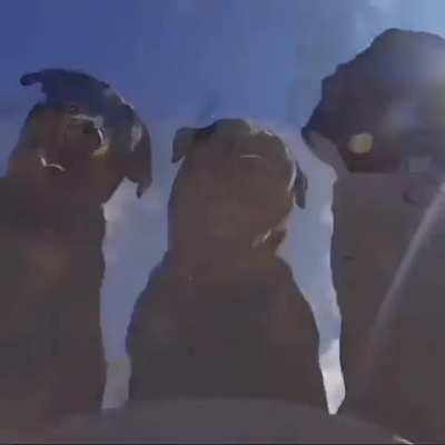 WUNK UP! the skatening game