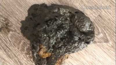 Casually Shits a HUGE Pile in Front of Friend [F] [GIF]