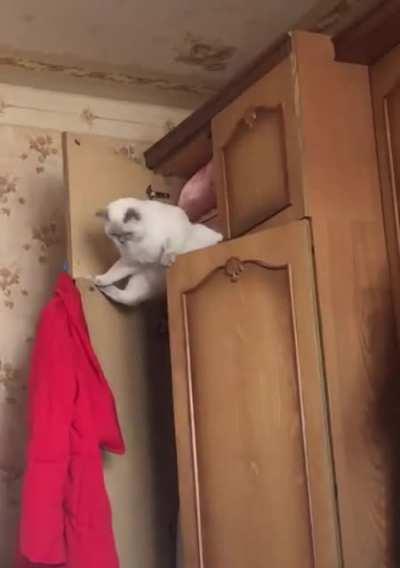 Oh god what have i done