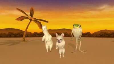 PedroDBR - Video #5573