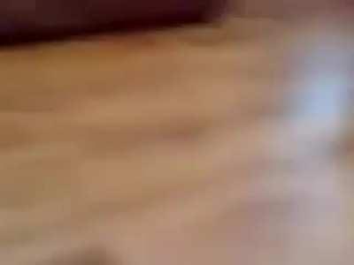 Cutest video on the Internet