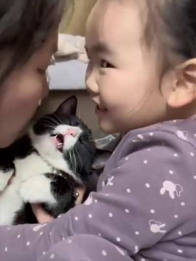 Evil hoomans tortures poor wunk, squeezes him to death