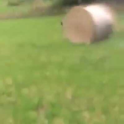 Jumping over a HUGE FUCKING HAY BALE WCGW?