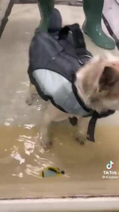 Use your survival instincts (not my content)