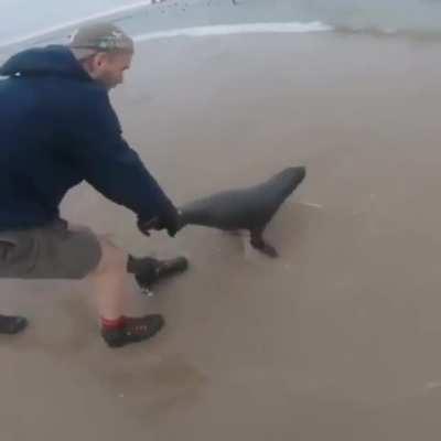 no, no, no, whyyyy, oh wow...