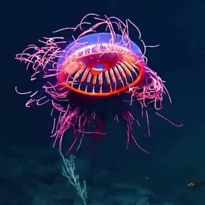 It might sting a bit