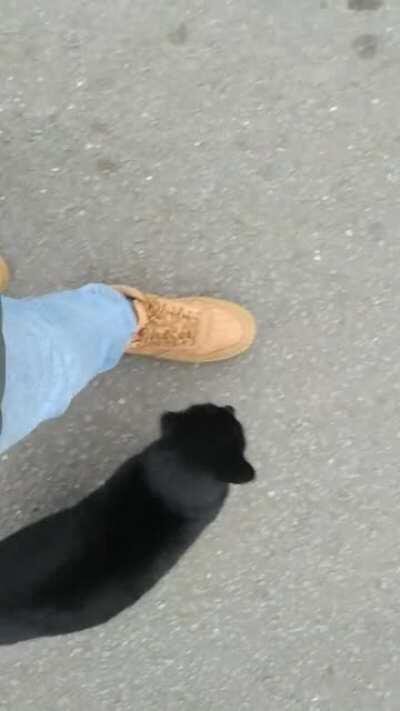 When they ask me, why am I always late for work