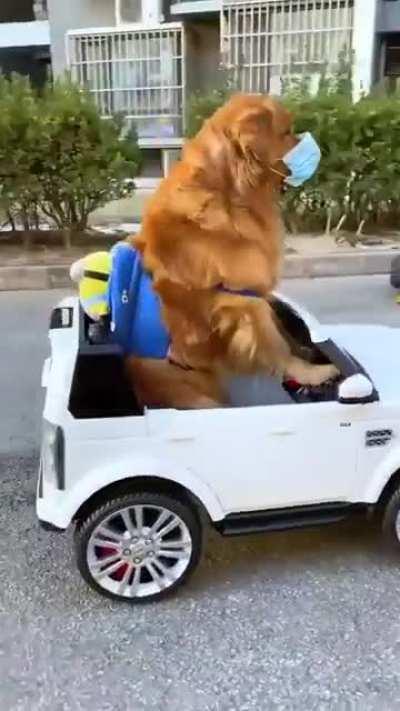 Сань, сгоняй на рынок, еда кончилась