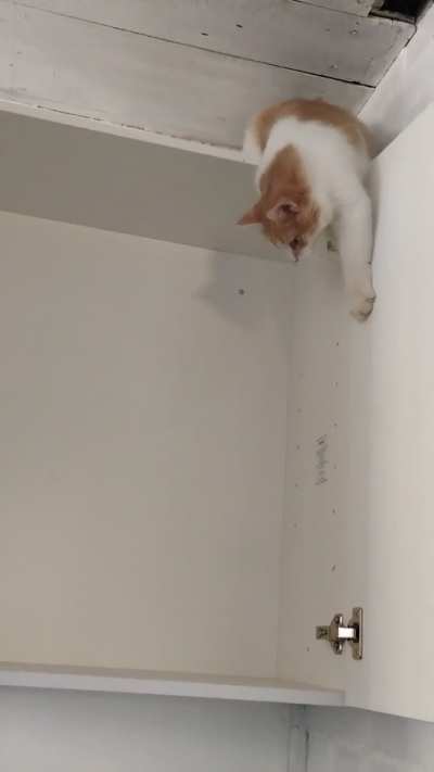 Cabinet installation inspection.