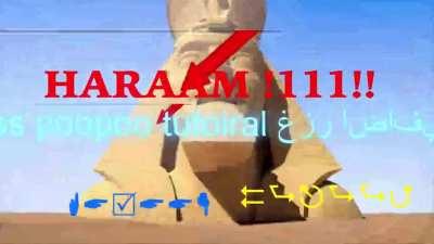 r/comedyepilepsy collaboration with r/arabfunny