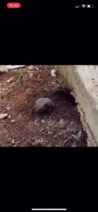 “Your 30 days are up pal”