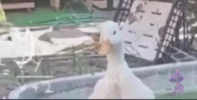 HUEstation - Video #9866