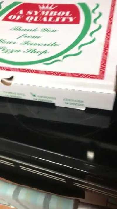 what the hell were they thinking? i asked for no anchovies.