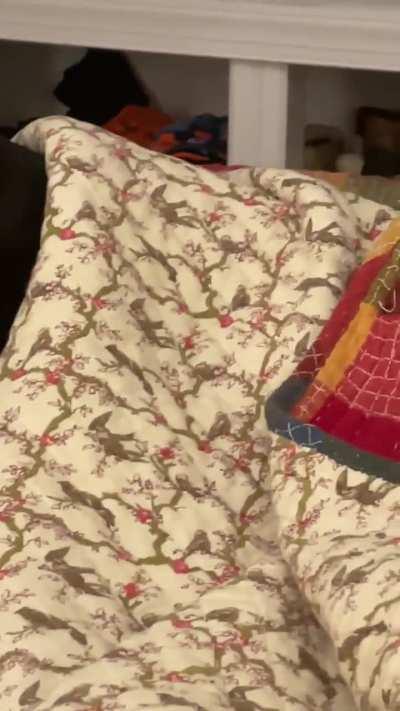 Target detected: attack mode activated 