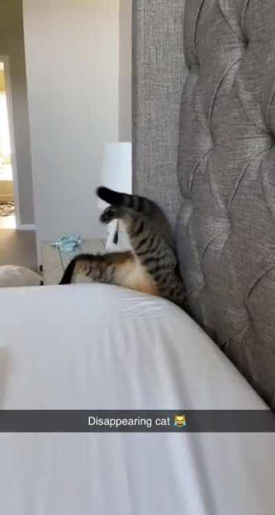 Down the mattress drain...