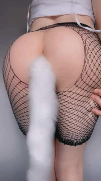 I don’t mind which tail you pull 🤪