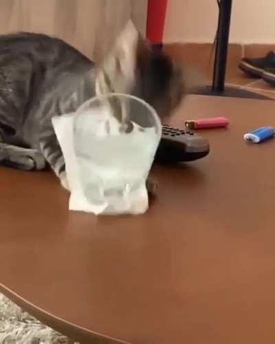 Aww so cute.... what, why?