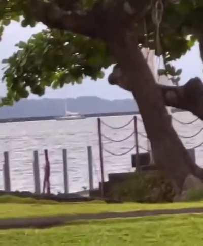 Catch Me If You Can (2002)