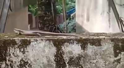 A video from me native place. First time go easy on me