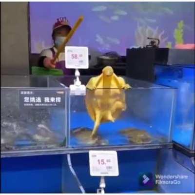 Falhou, agora vai virar sopa