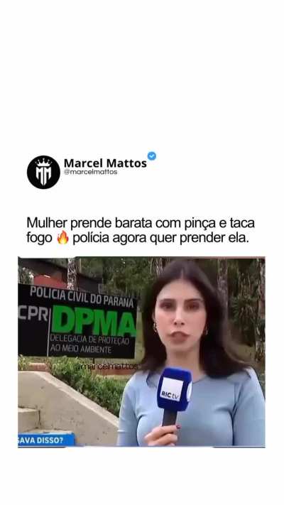 ShitpostBR - Video #5155