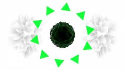 Gonna go ahead and repost this here cause Instagram won’t let me 😓