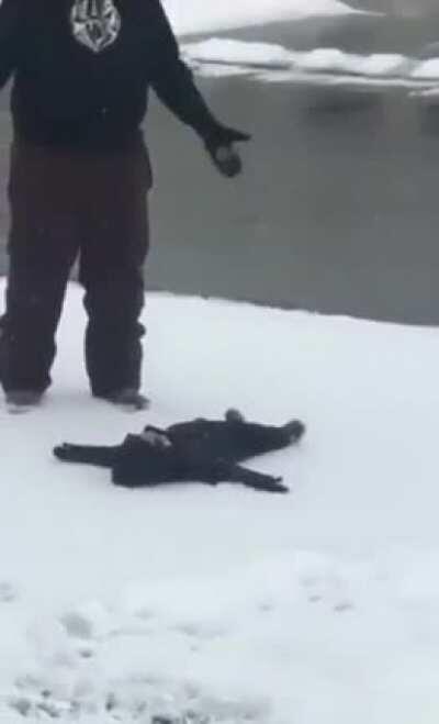 Universe is obviously 2-Dimensional