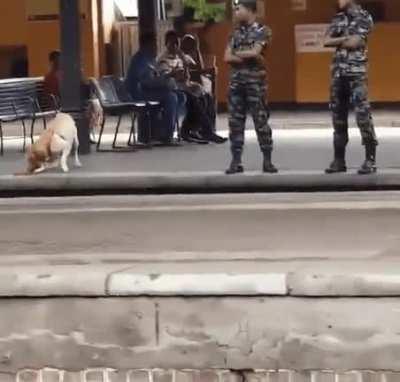 There's a time for work, and a time for herp derp.