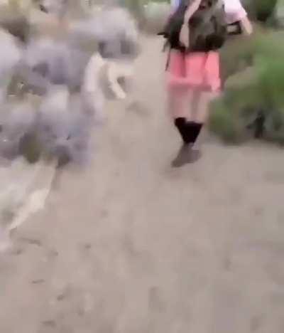 Tremendo el camuflaje