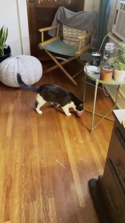 He loves his snake and wants the entire world to know