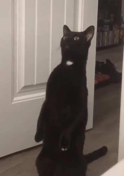 The mothership is calling them home