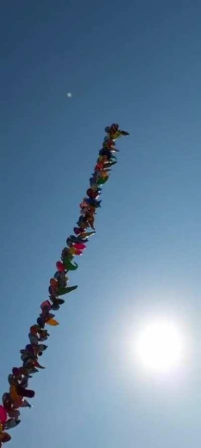 the average baloon seller in Brazil