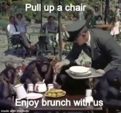 Do not hesitate, join us 🐵✊🏽🍌