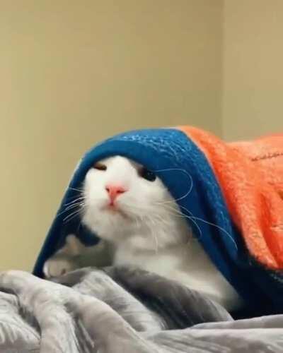 When your alarm didn’t ring & you realize you overslept