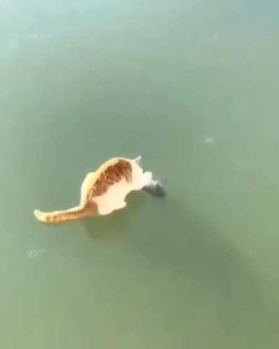 What manner of sorcery is this?!??