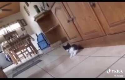 The face of true fear