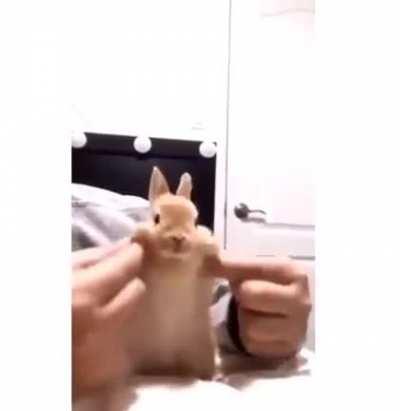 BeelcitosMemes - Video #9075