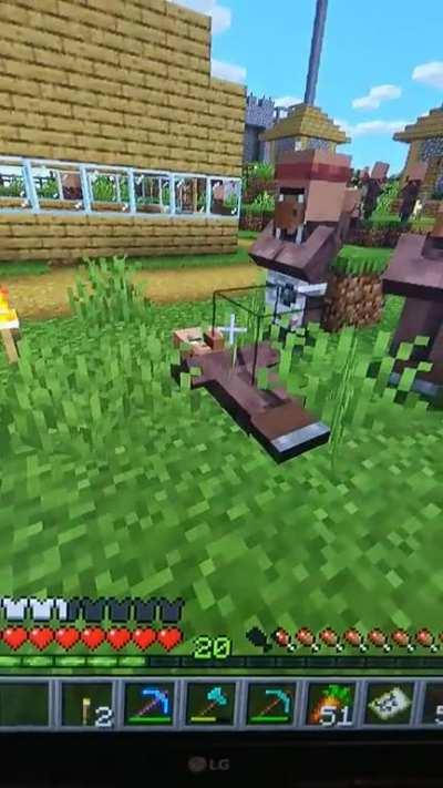 The laziest Villager