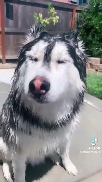 CrUeL hUmAn KiLlInG pOoR aNiMaLs By DrOwNiNg ThEm