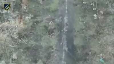 Artillerymen of the 117th Heavy Mechanized Brigade, take out a russian assault group with a single shot near the village of Novooleksandrivka (Donetsk region)