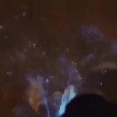 🔥 Bioluminescent Beach 🔥