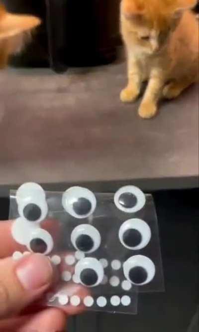 Blursed_EyeReplacement