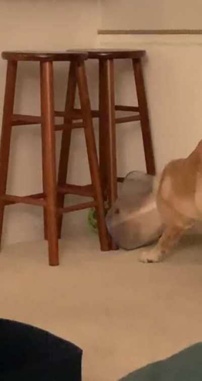 The struggle is real